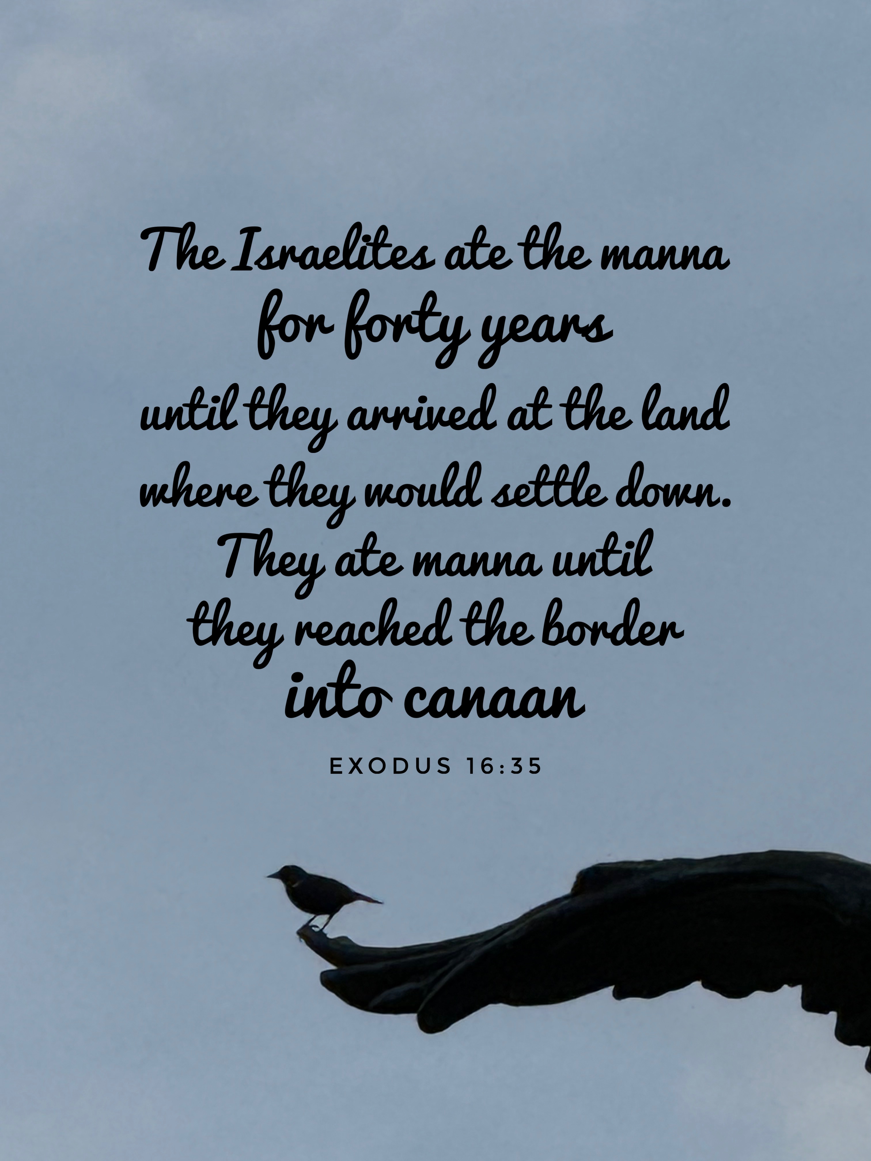 Verse Asset