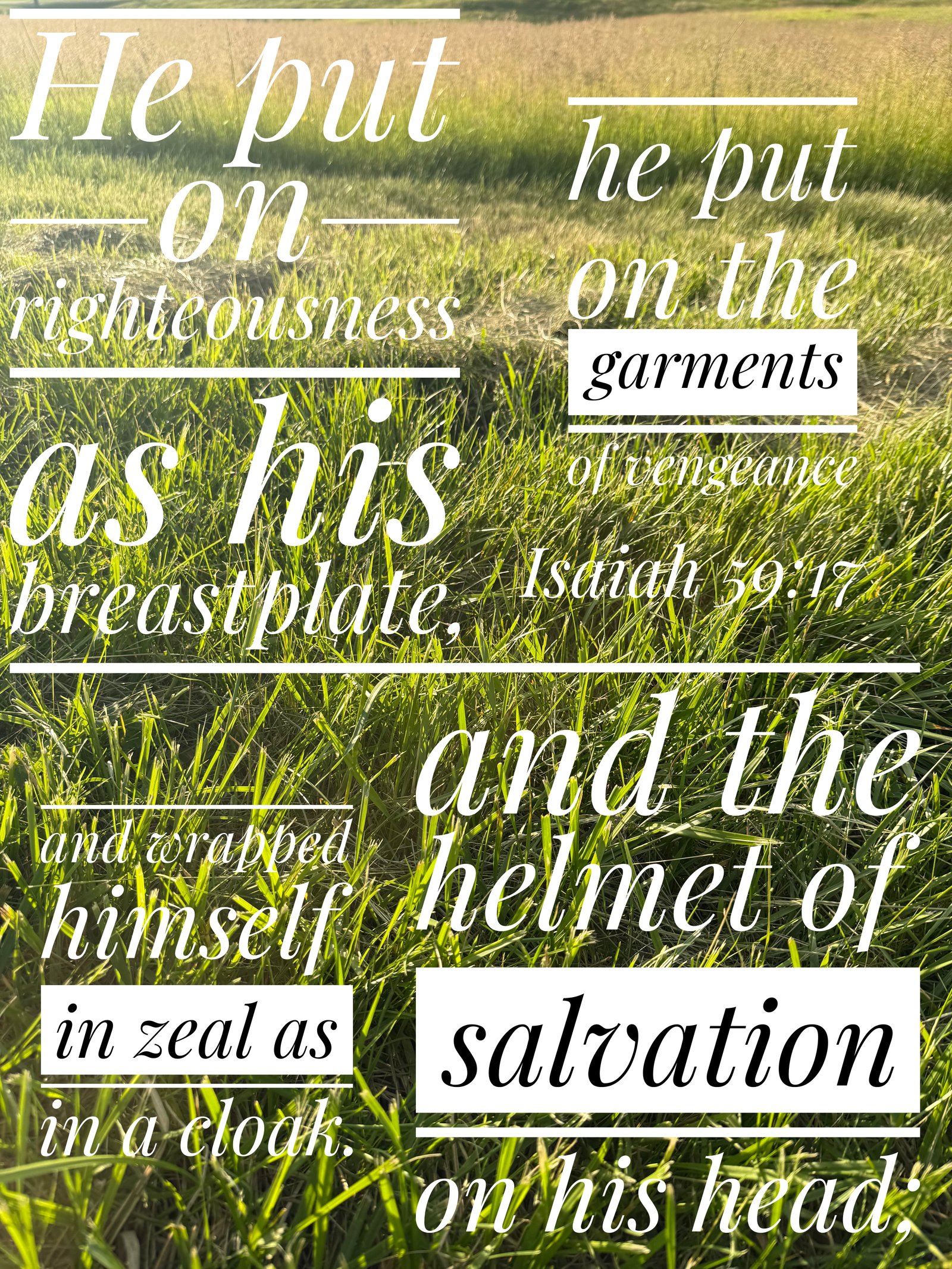 Verse Asset