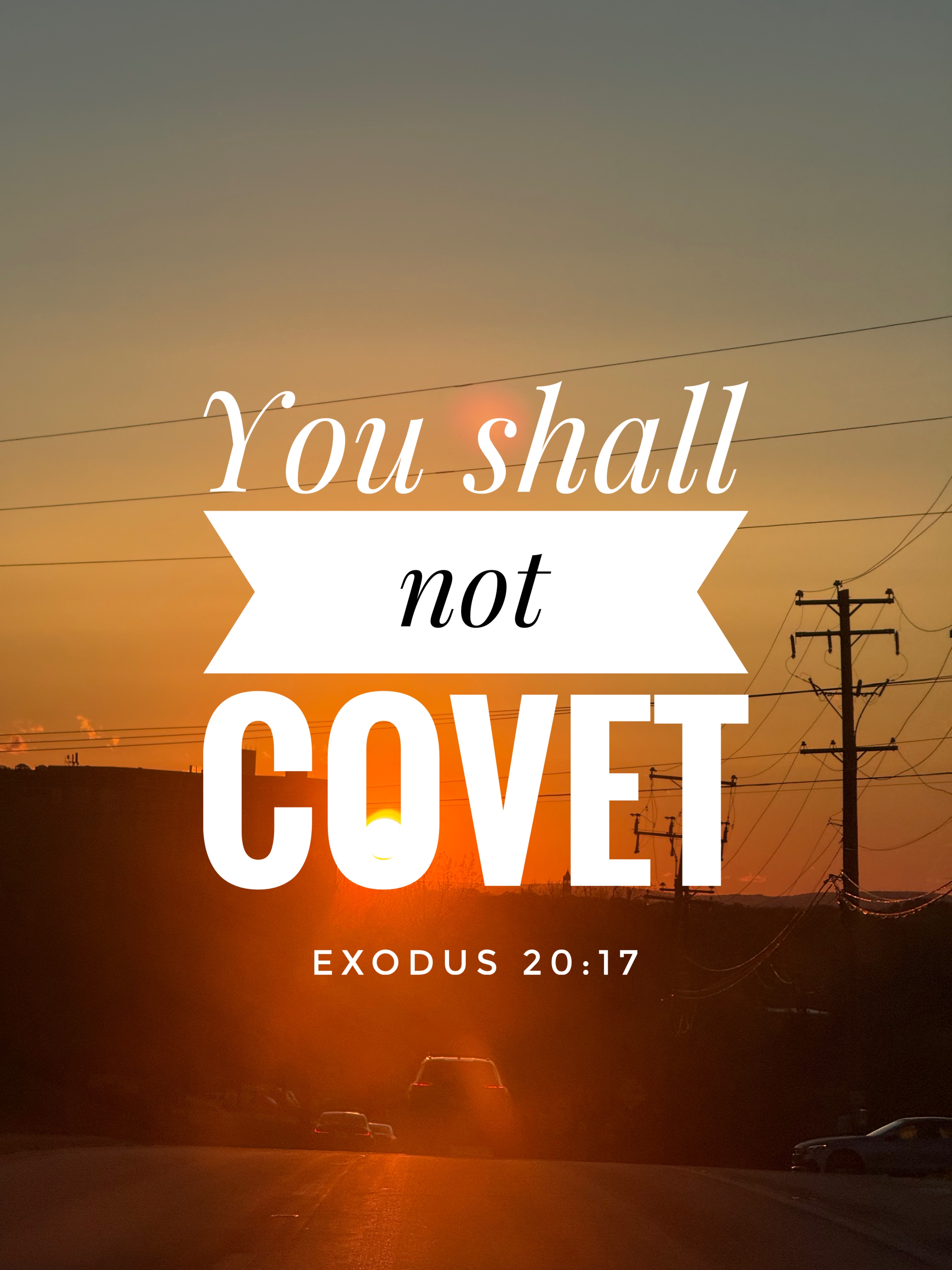 Verse Asset