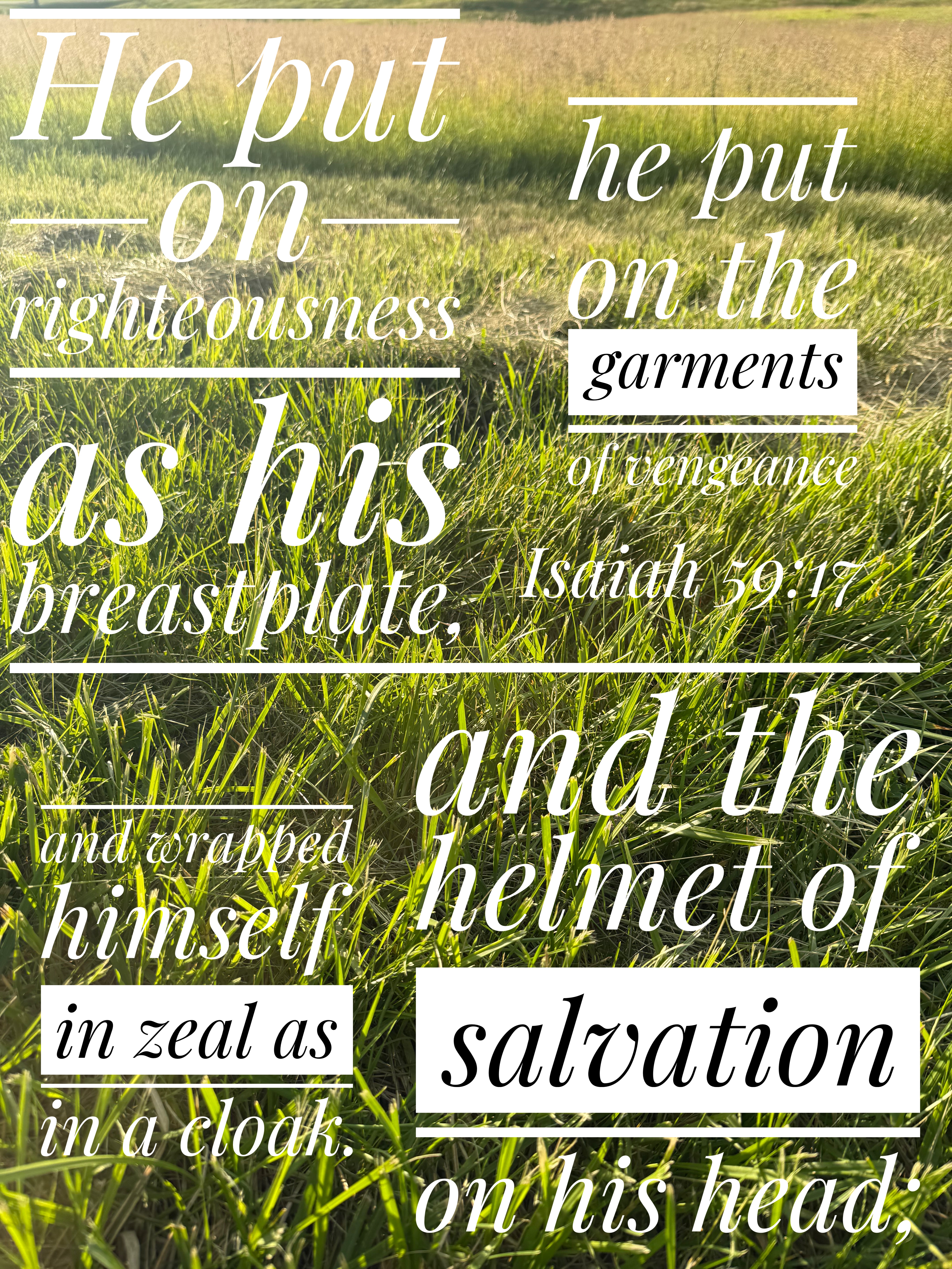 Verse Asset