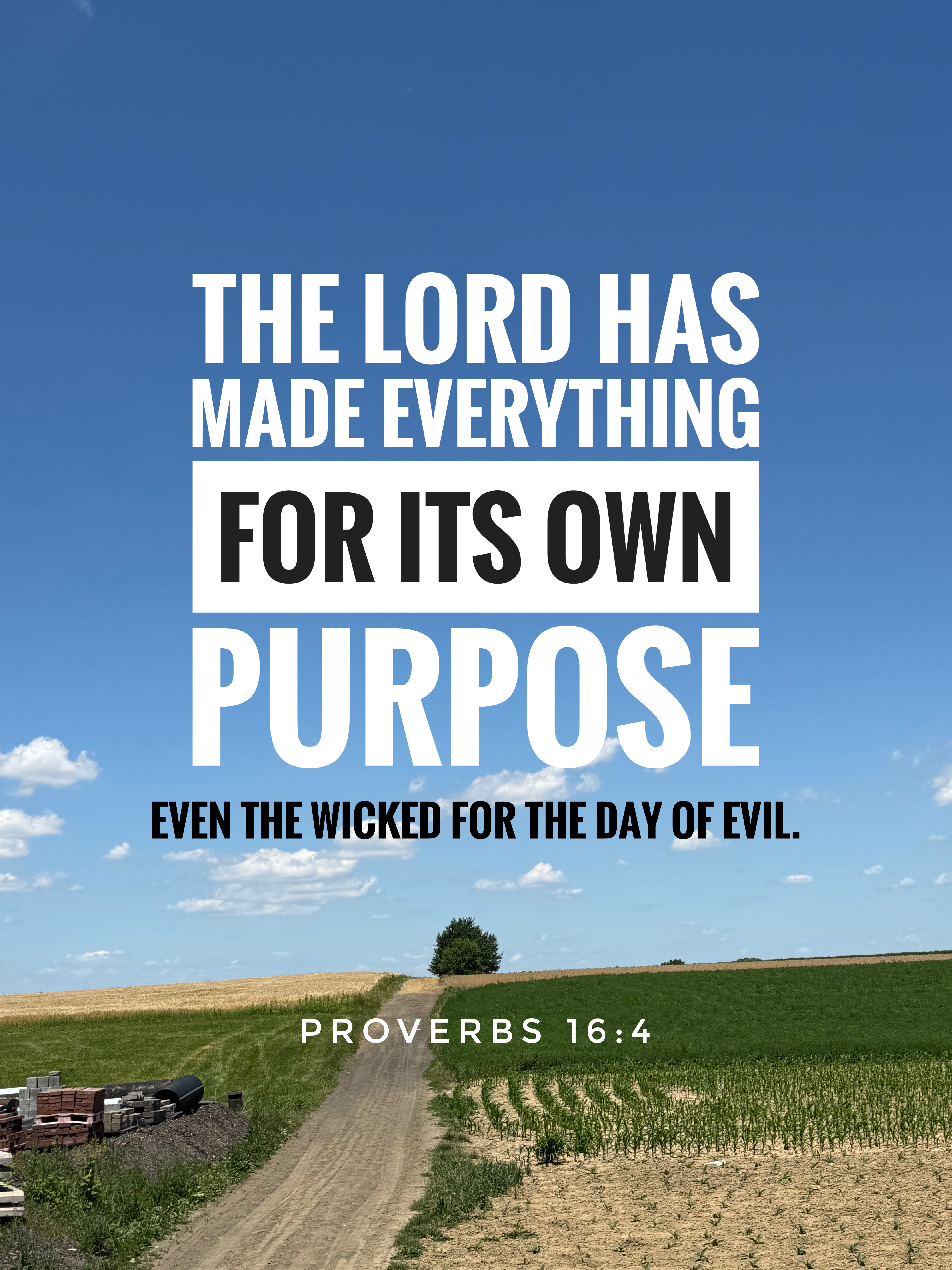 Verse Asset