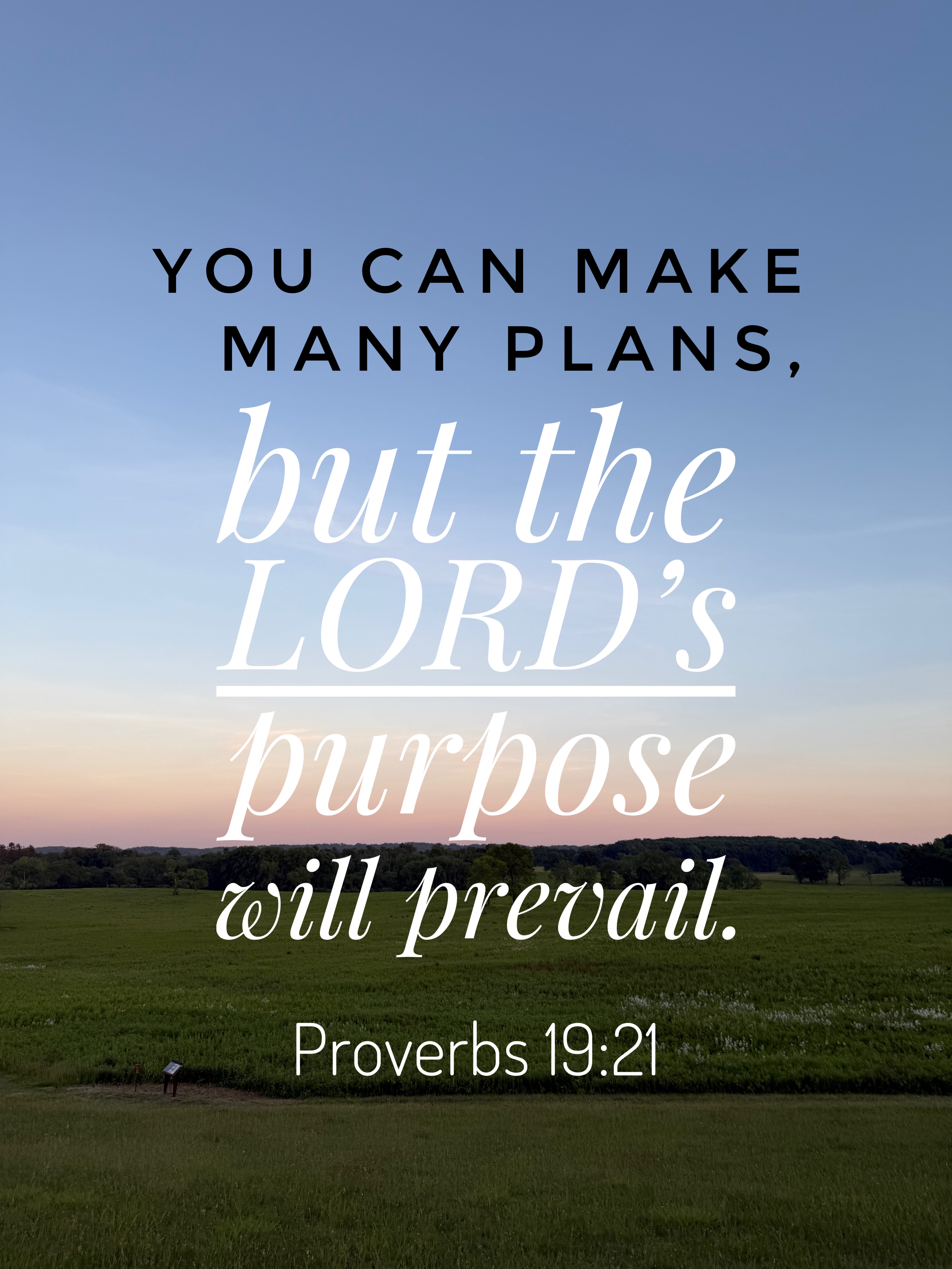 Verse Asset