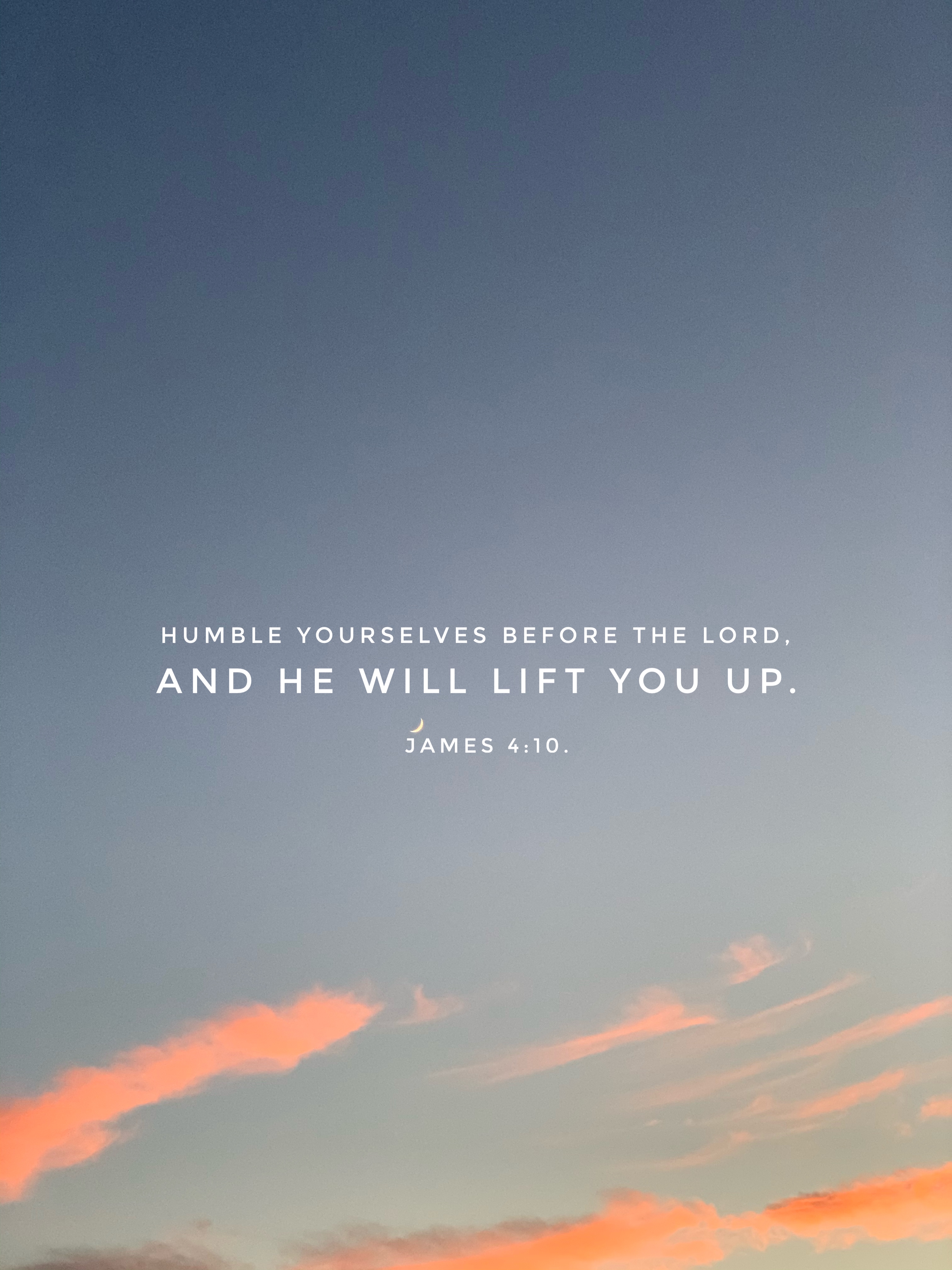 Verse Asset