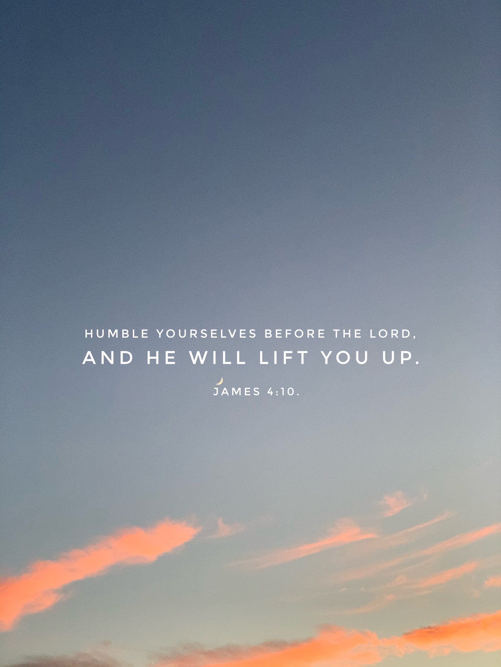Verse Asset