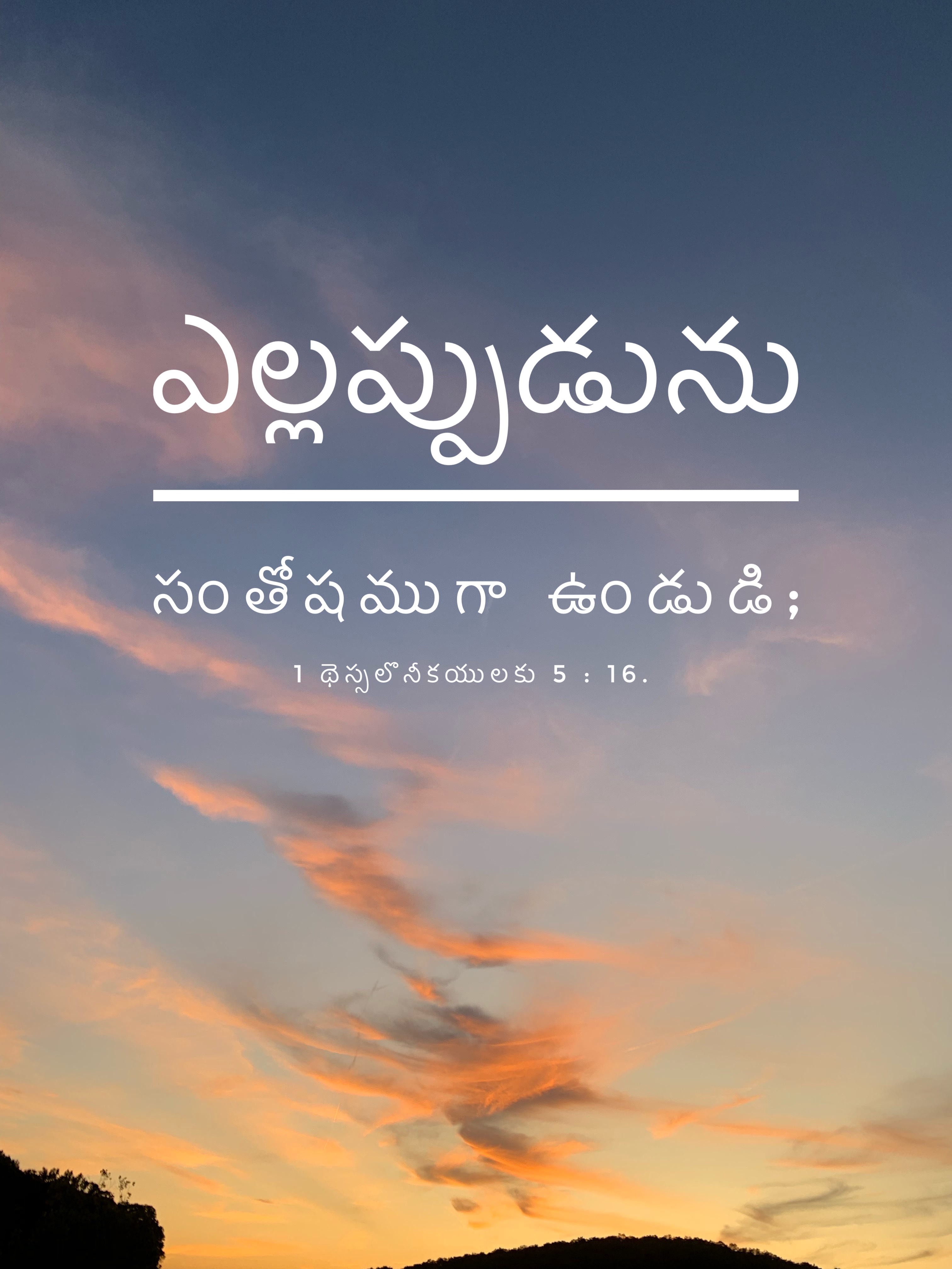 Verse Asset