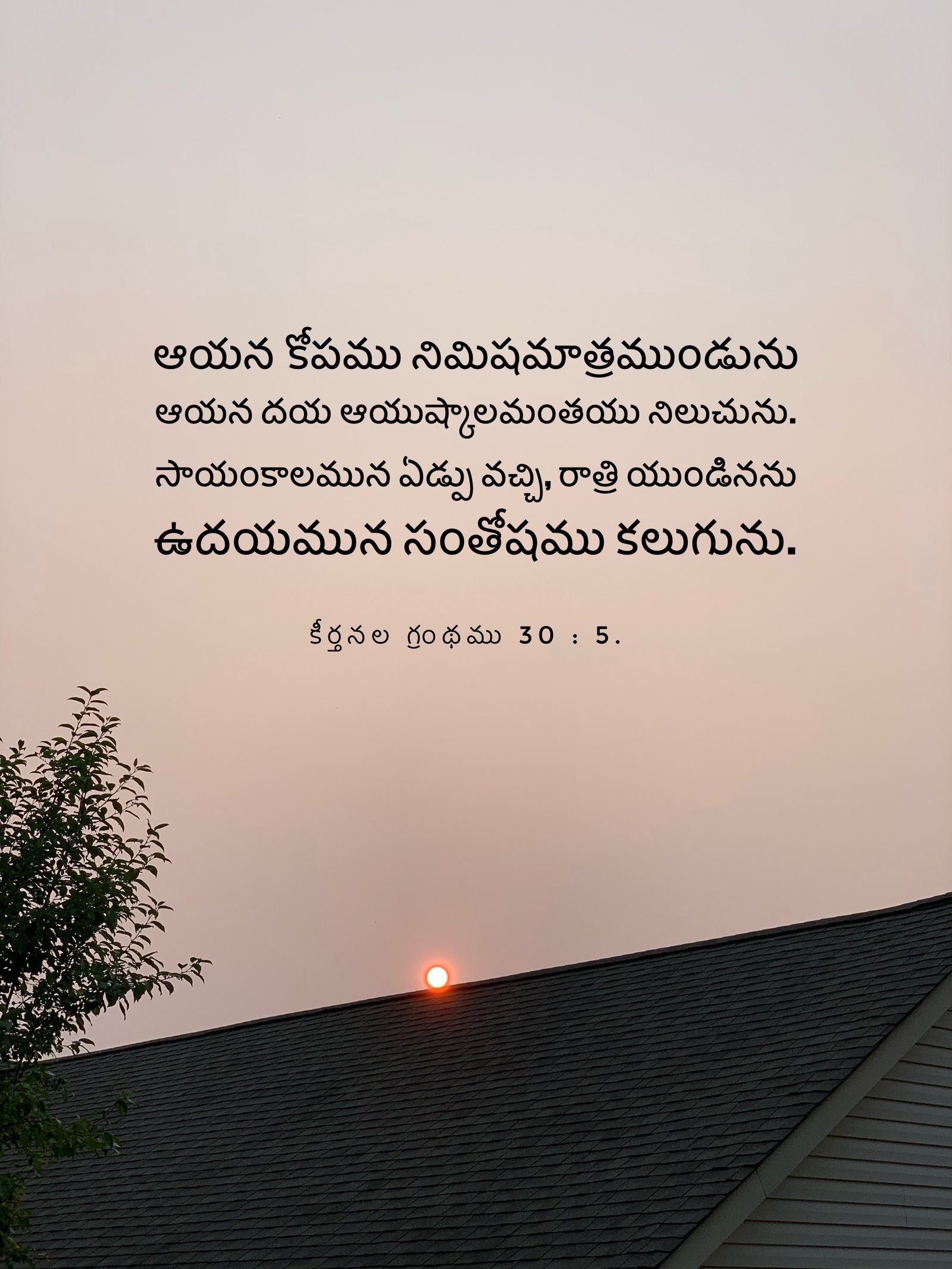Verse Asset