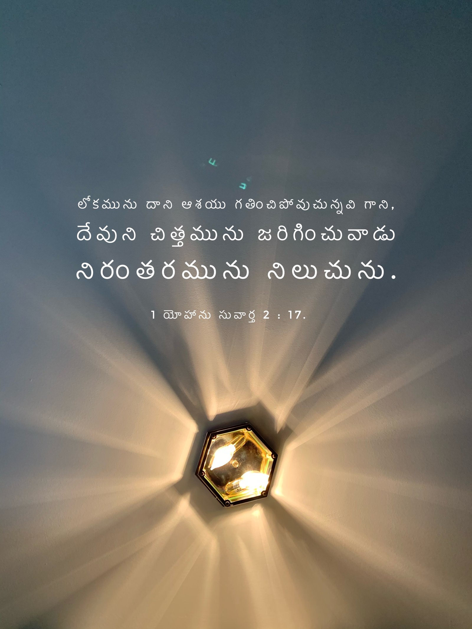 Verse Asset